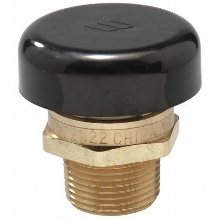 Watts Lead-Free Brass Vacuum Relief Valve, MNPT Inlet Type, MNPT Outlet Type - 1/2 LF N36