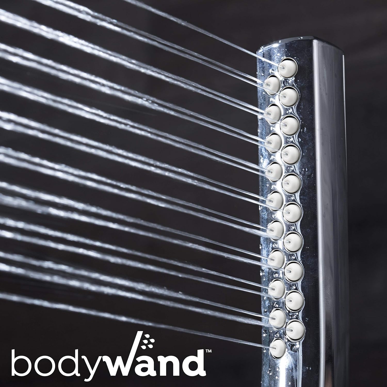 Waterpik High Pressure Hand Held Wand and Rain Shower Head Combo with Hose-BodyWand Spa System, Chrome Pack of 2