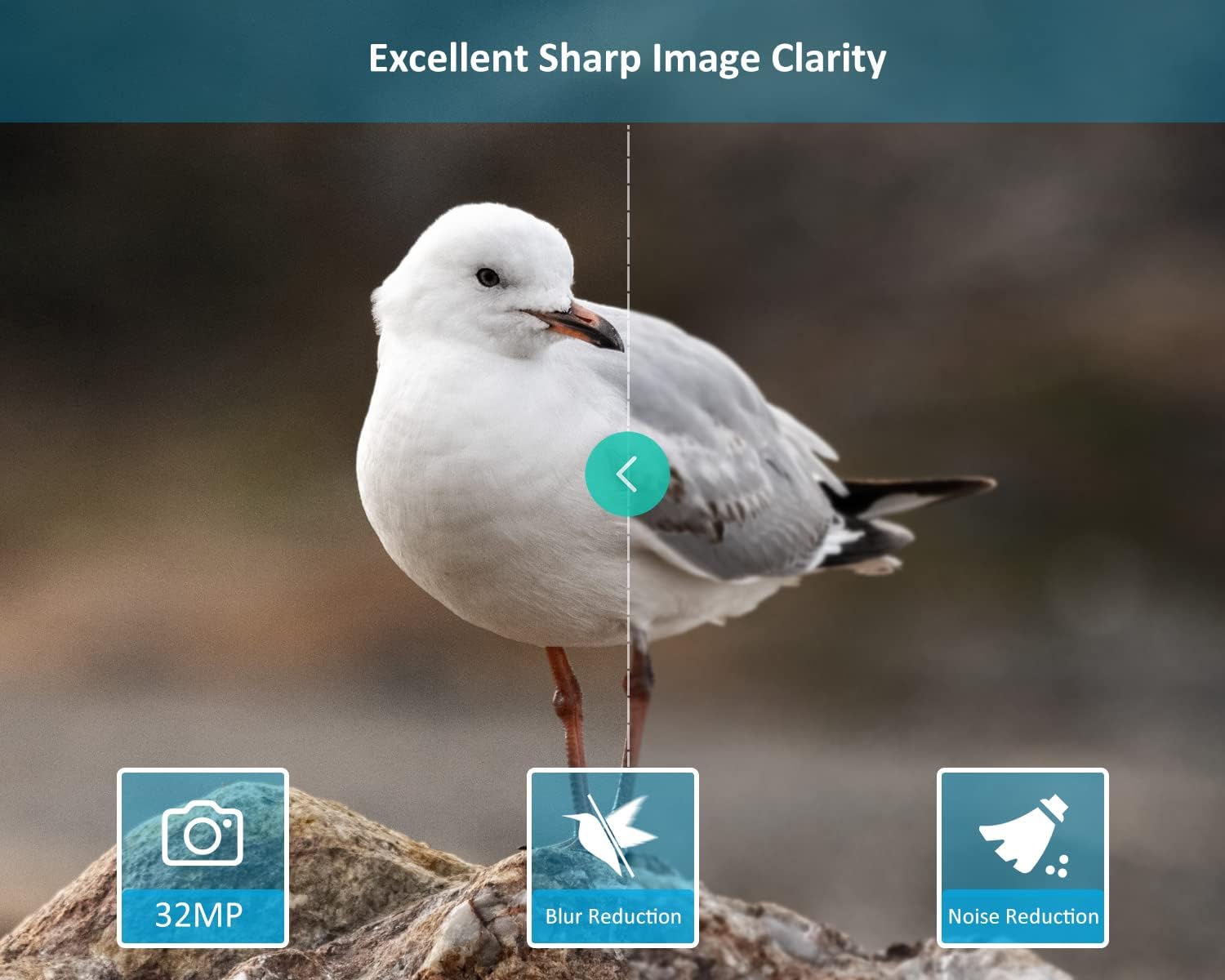 GardePro E5S Game Trail Camera 32MP 1296P with 100ft Night Vision Motion Activated Waterproof Pack of 2