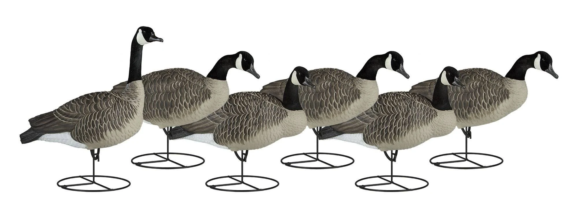Dakota Decoy Signature Series Upright Geese 6-Pack