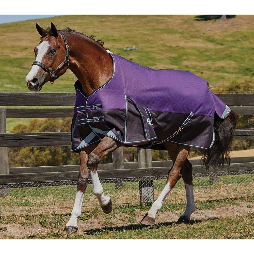 Weatherbeeta ComFiTec Plus Dynamic Standard Neck Medium Purple/Black / 78x22