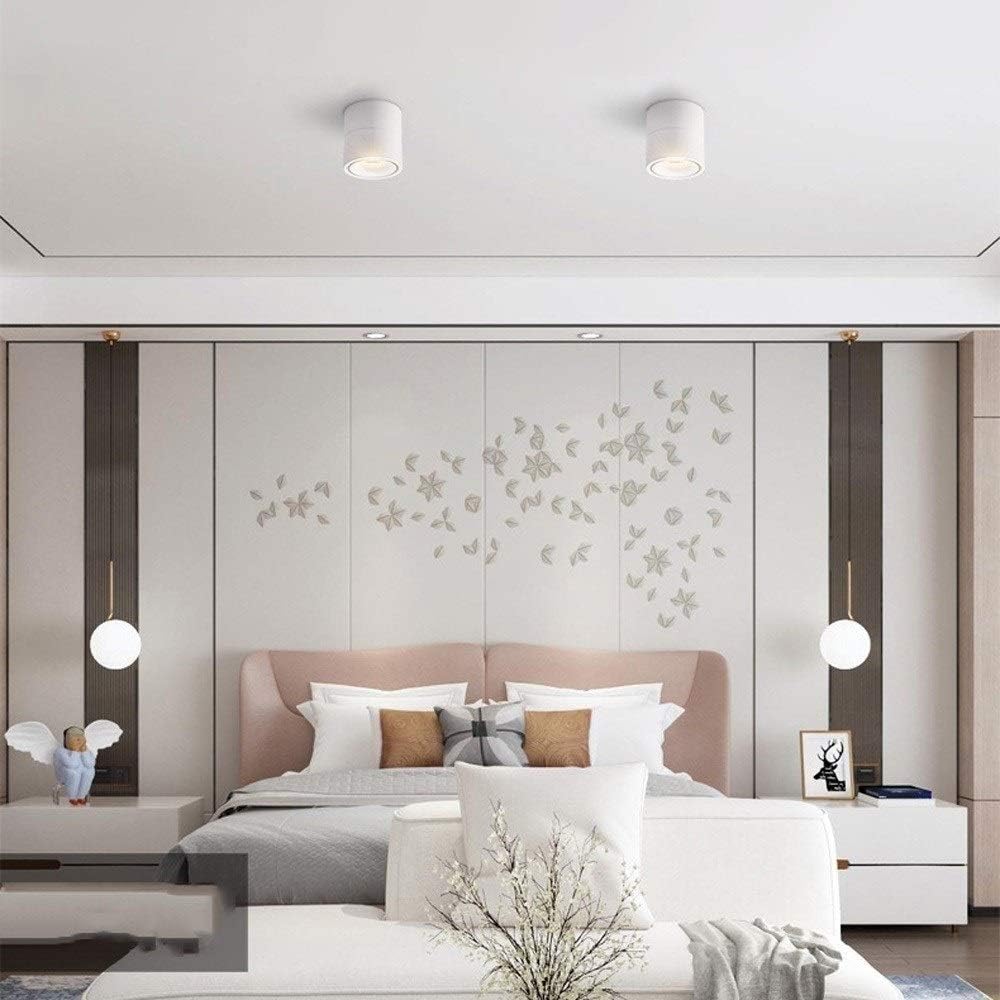 Bwldma Modern Indoor Spotlight Adjustable 360&deg; Downlight Home Background Wall Spotlight Accent Lighting Ceiling Light Clothing Store Cloakroom Decorative Lighting (Color : Neutral Light 4000K)
