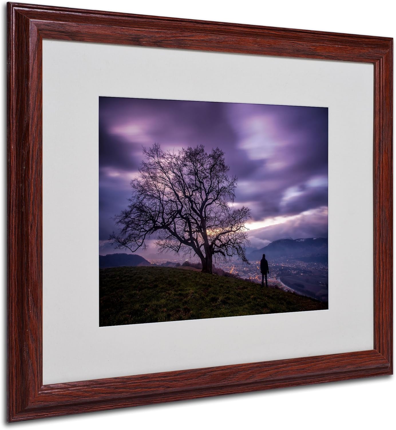 The Tree of Love Grenoble Artwork by Mathieu Rivrin, 16 by 20-Inch, Wood Frame Pack of 2