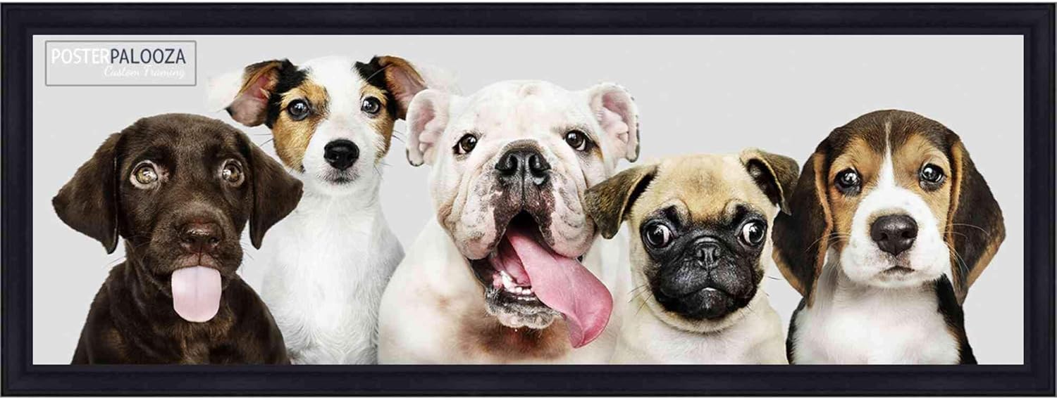 16x40 Contemporary Black Wood Picture Panoramic Frame - UV Acrylic, Foam Board Backing, & Hanging Hardware Included! Pack of 2