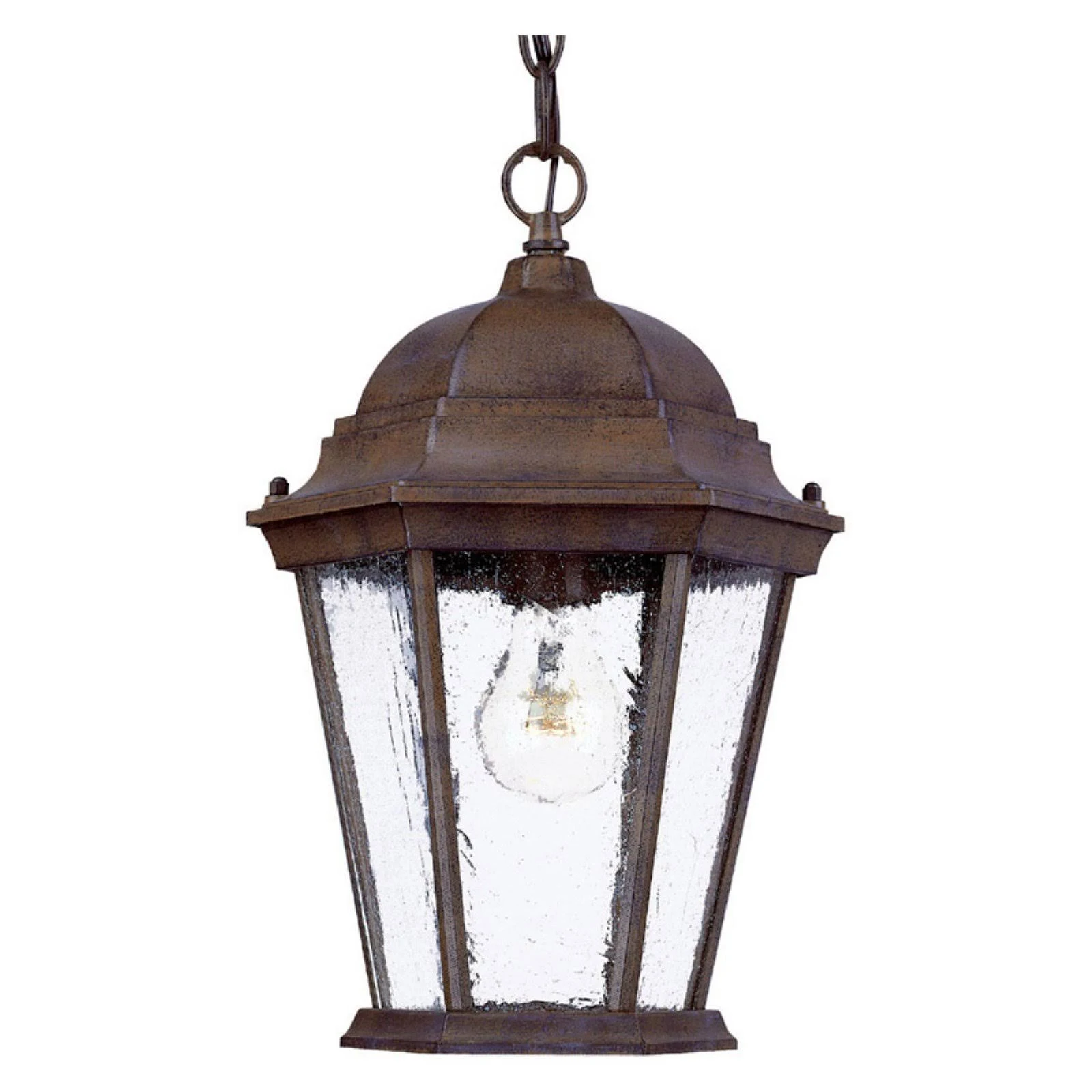 Acclaim Lighting Richmond Collection 1-Light Hanging Outdoor Burled Walnut Lantern