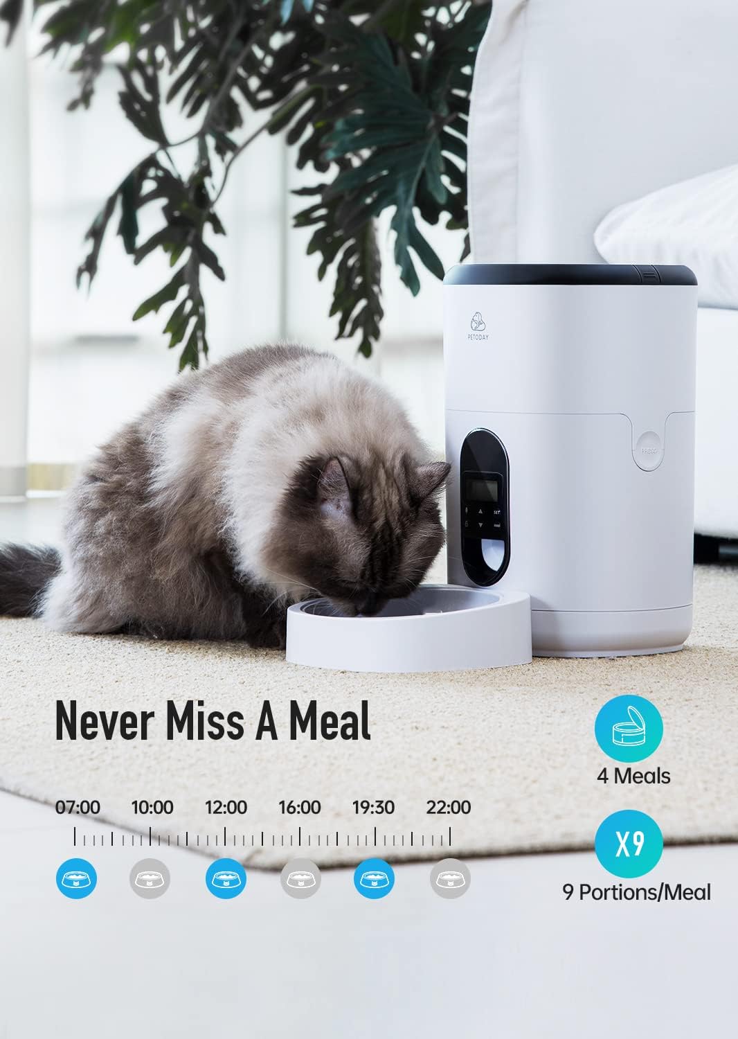 PETODAY 4L & 6L Automatic Cat & Dog Feeders, Auto Dry Food Dispenser with Programmable Timer, Control 4 Meals Daily for Small & Medium & Large Dogs and Cats, 10s Voice Recorder Pack of 2