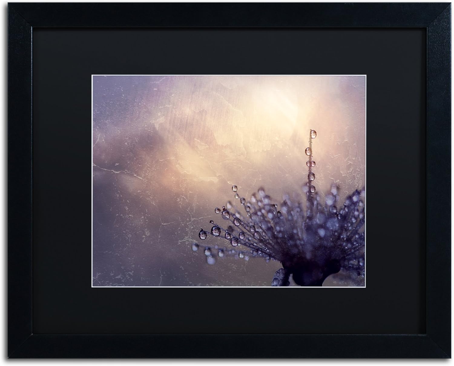 All the Good Wishes by Beata Czyzowska Young Black Matte and Black Frame, 16 by 20-Inch Pack of 2