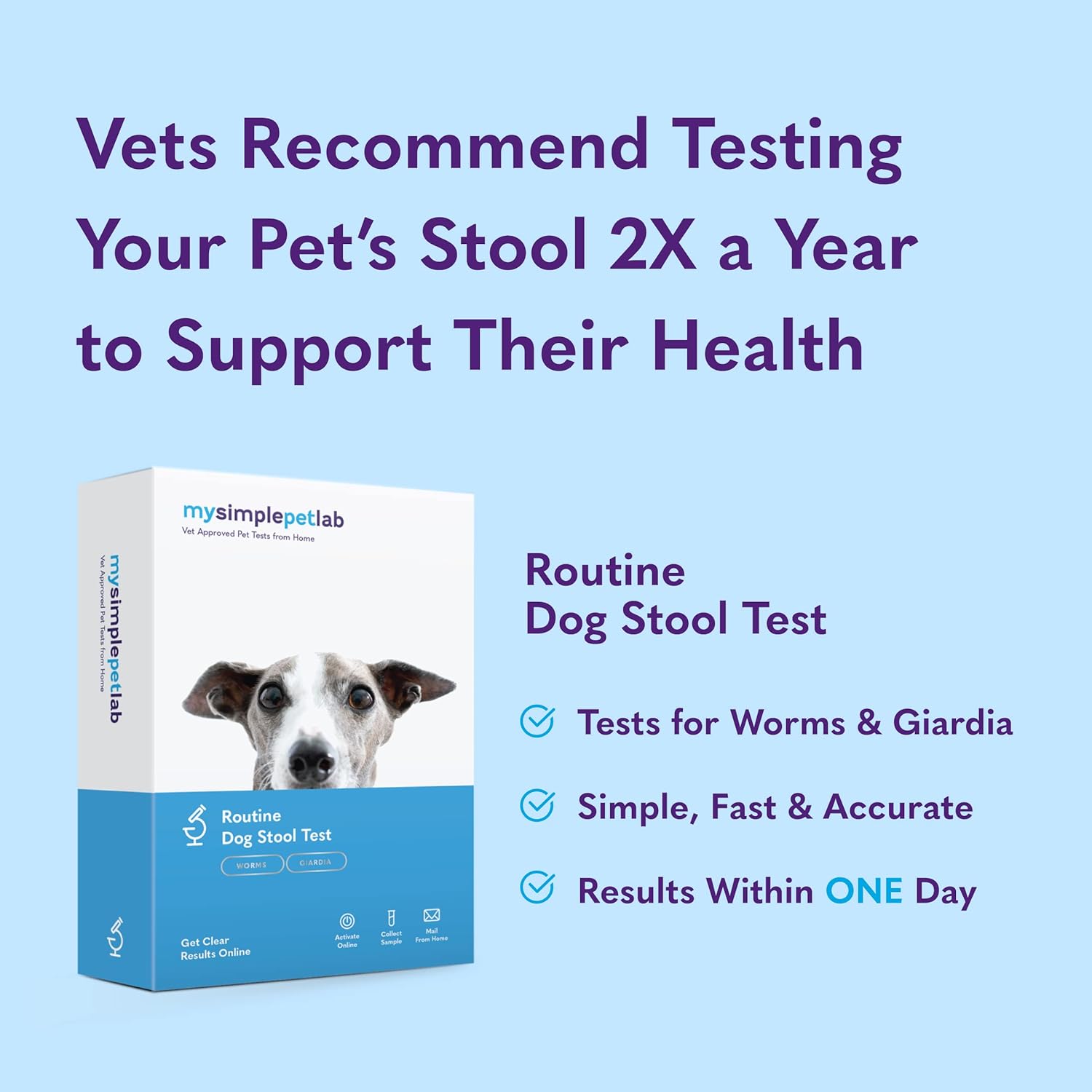 MySimplePetLab Routine Dog Stool Test Kit | Fast and Accurate Worms and Giardia Test for Dogs | Mail-in Stool Sample Kit Dog Health Test for Early Detection and Treatment of Intestinal Parasites