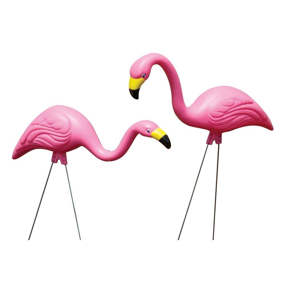 Bloem 2 Pack Pink Flamingo G2 6 Pack