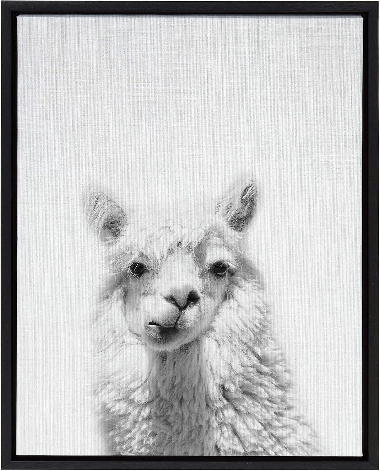 Kate and Laurel Sylvie Alpaca Framed Canvas by Simon Te Tai, 18x24, Natural Pack of 2