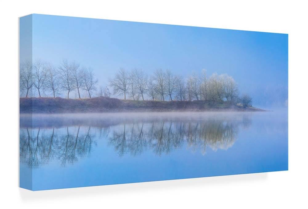 Trademark Fine Art Ic02446-C1224Gg Anne Schneidersmann 'Peace of Mind'