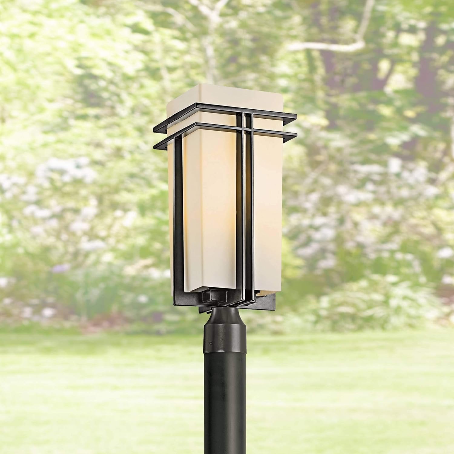 Tremillo Collection Black 20