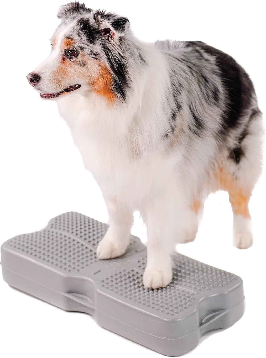 Blue-9 Propel Air Platform Kit, Professionally Designed Dog Training Accessories and Pet Products, Turquoise