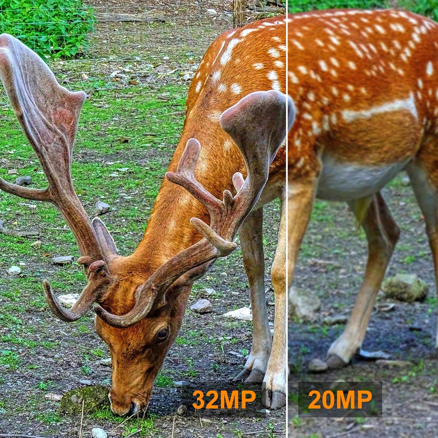 4K 32MP Trail Camera, 0.1s Trigger Motion Activated Game Hunting Camera with Night Vision 80ft No Glow Infrared, IP66 Waterproof Deer Wildlife Monitor Trail Cam, 120&deg; Wide View