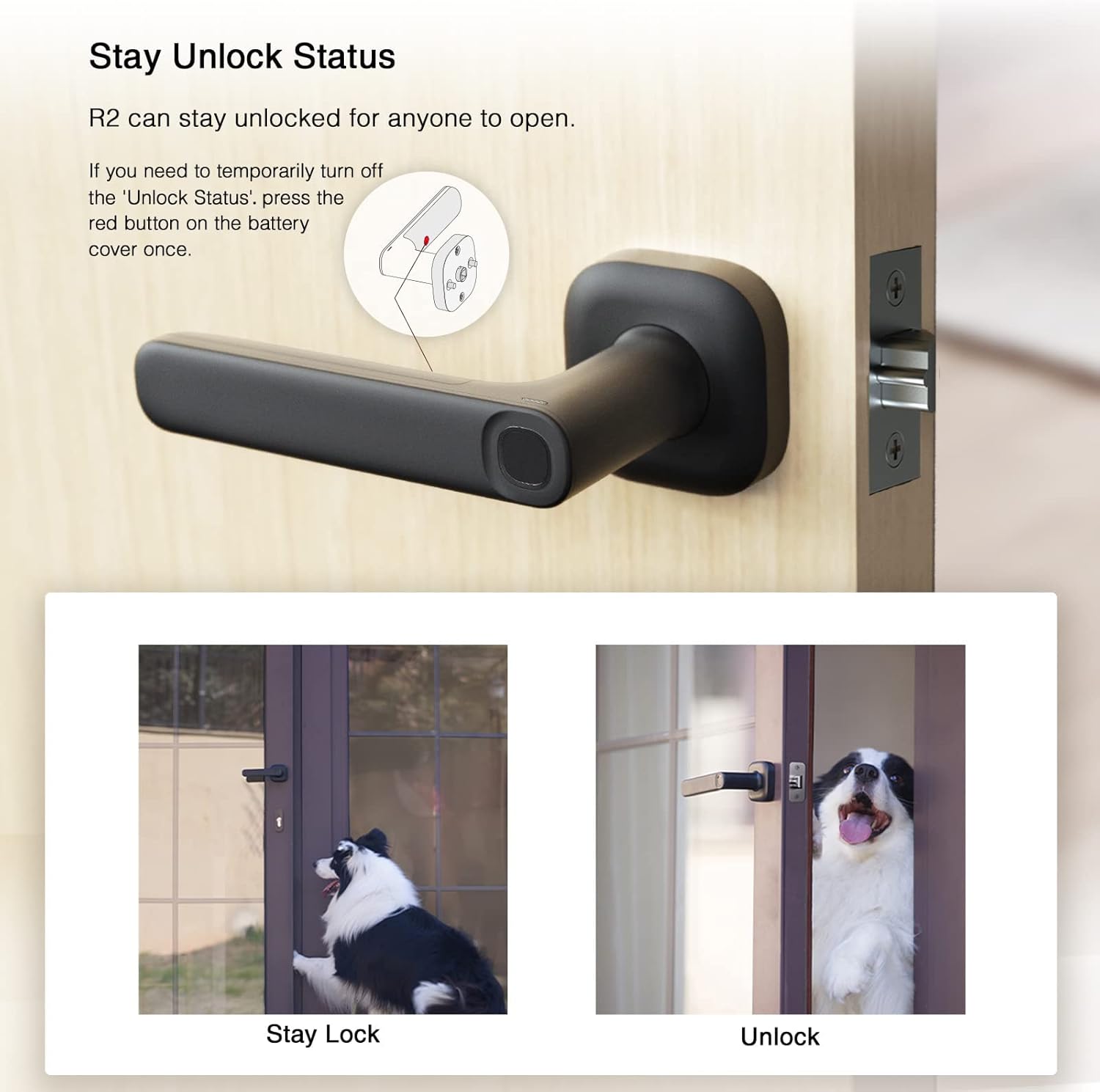 YEEUU Smart Door Lock with Fingerprint, NFC, APP. Stylish Bluetooth Door Lever. Keyless Entry for Your Home, Office, Bedroom or Airbnb (Black, Fingerprint + Bluetooth) (Fingerprint + Bluetooth, black)
