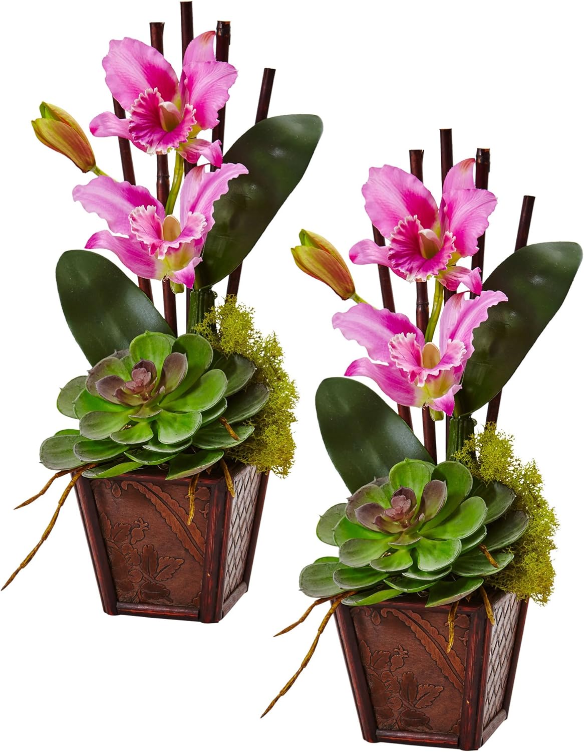 Nearly Natural 1445 S 2 Orchid Succulent Set of Piece 1 Cattleya Orchid & Succulent Arrangement (Set of 2) Pack of 2