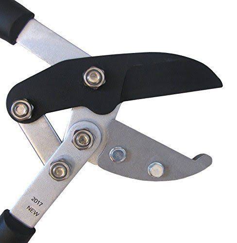 Tabor Tools GG12A Anvil Lopper with Compound Action, Chops Thick Branches with Ease