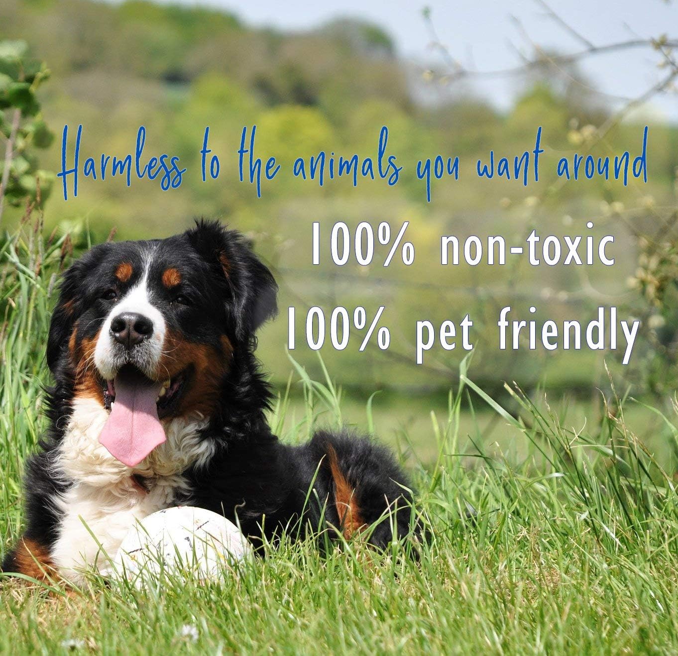 Predator Pee 100% Mountain Lion Urine - Territorial Marking Scent - Creates Illusion That Mountain Lion is Nearby - 16 oz Pack of 2