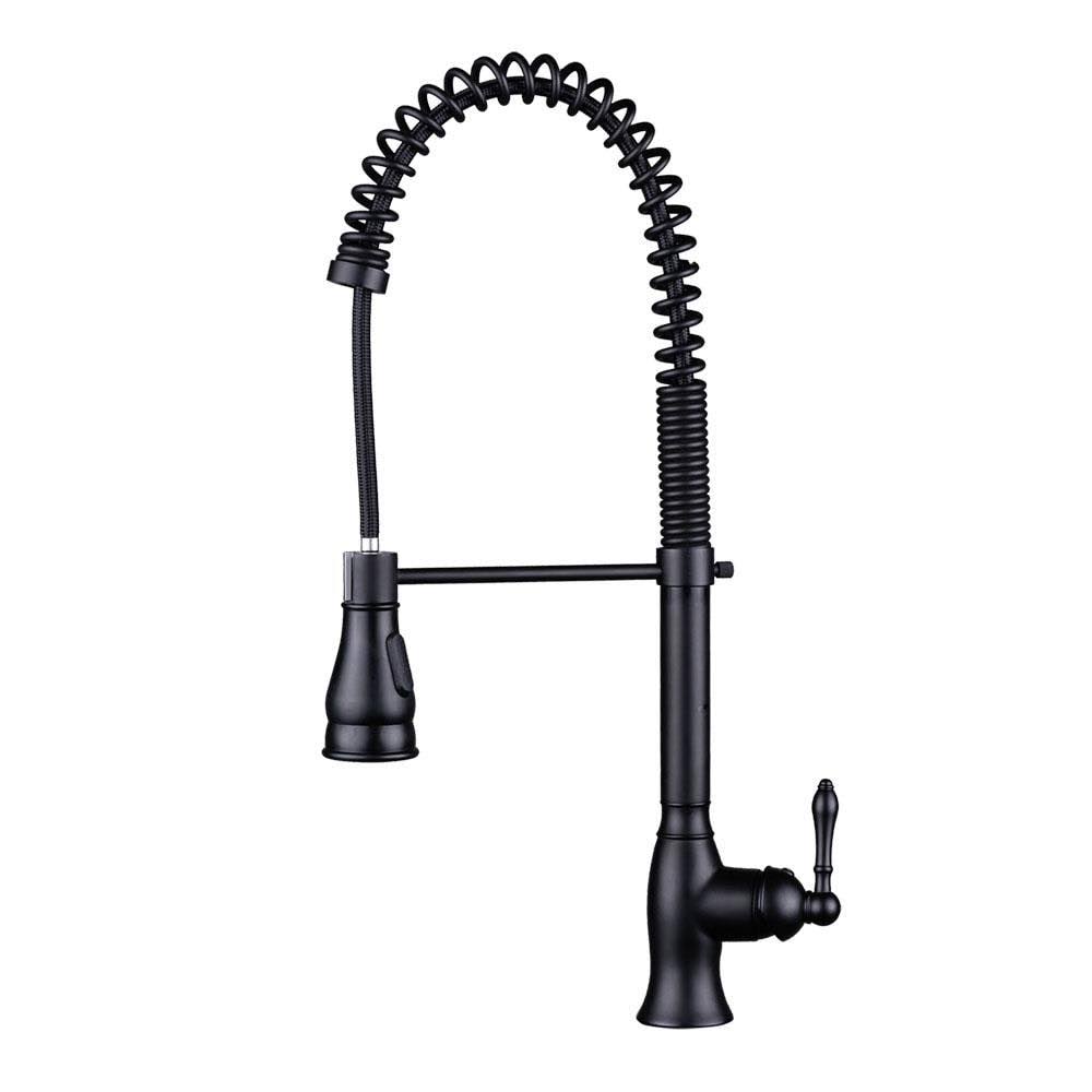 Ez-flo Kitchen Series Single-Handle Spring-Style Pull-Down Sprayer Kitchen Faucet in Matte Black 10043