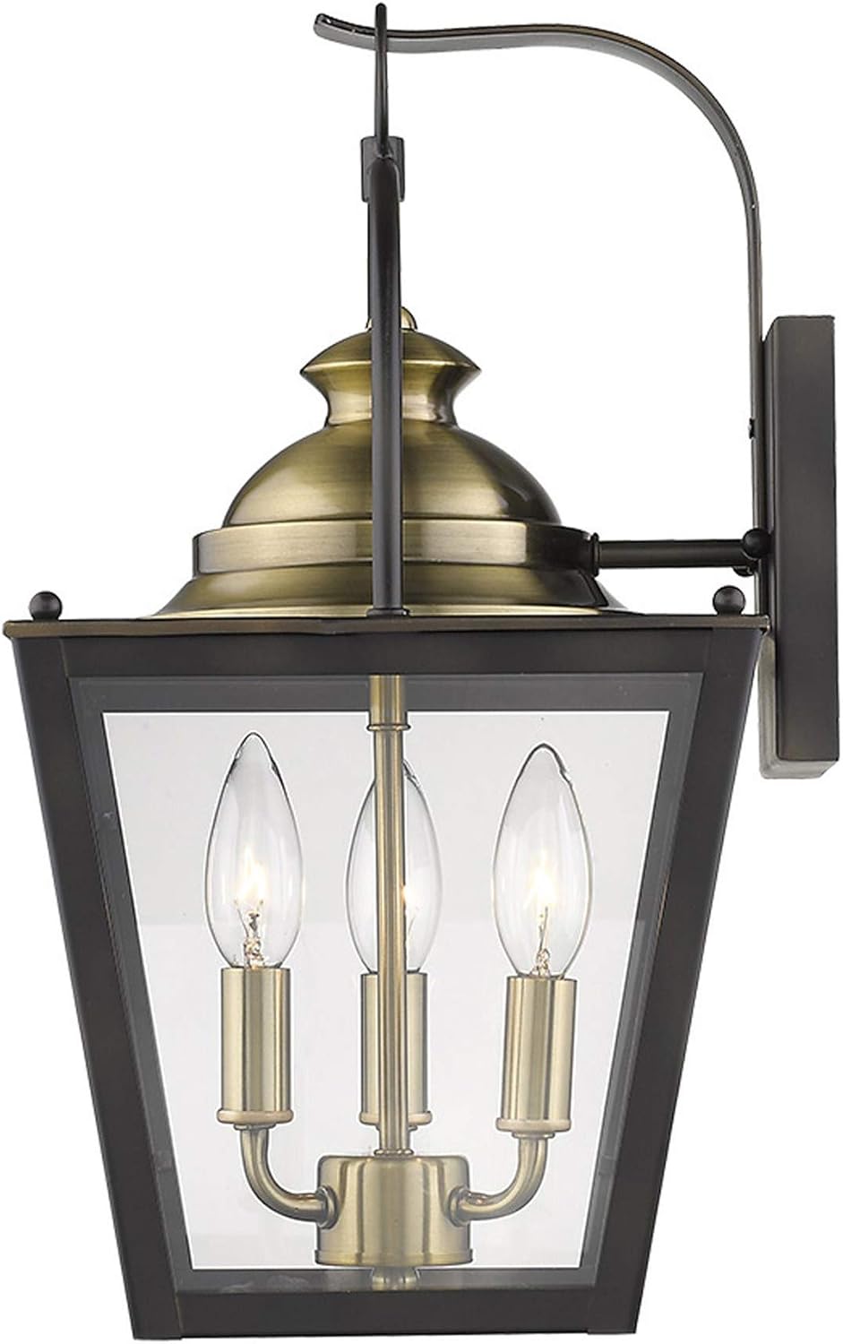 Acclaim 1842ORB Lighting, Bronze/Dark