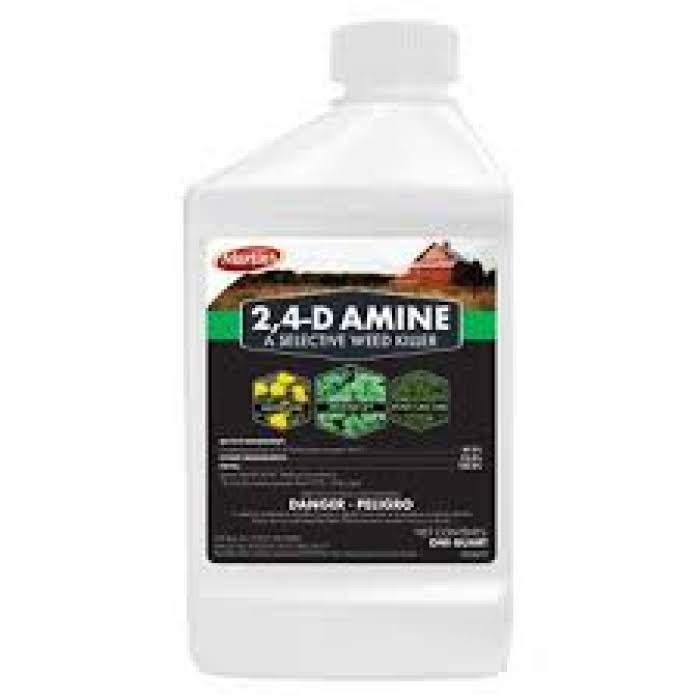 Control Solutions 82210012 24d Amine 1 qt. - Pack of 6