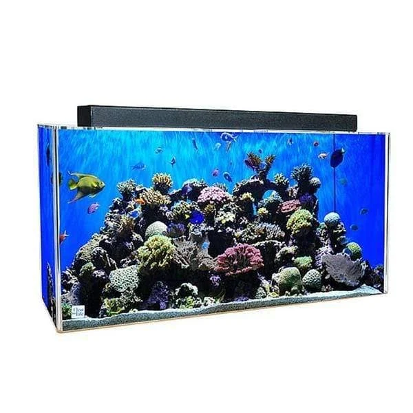Clear for Life 20R Rectangle Acrylic Aquarium - Blue Back