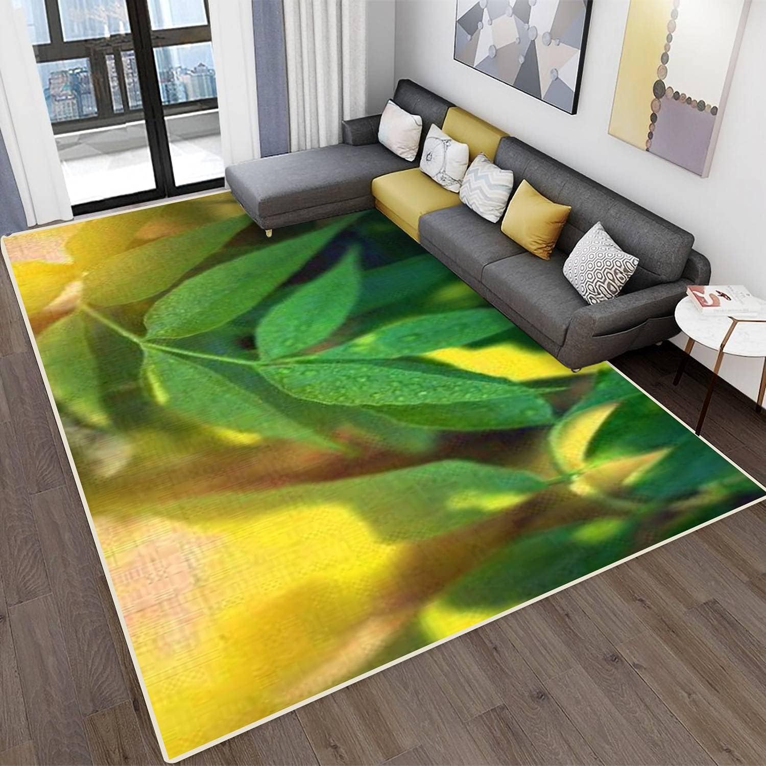 MJKIODPEV Area Rugs for Living Room Bedroom Blue and Green Gradient Abstract Background Non-Slip Stain Resistant Modern Carpet Mat Indoor/Outdoor Pad Home Decor Multi12 63inchW&times;94inchL
