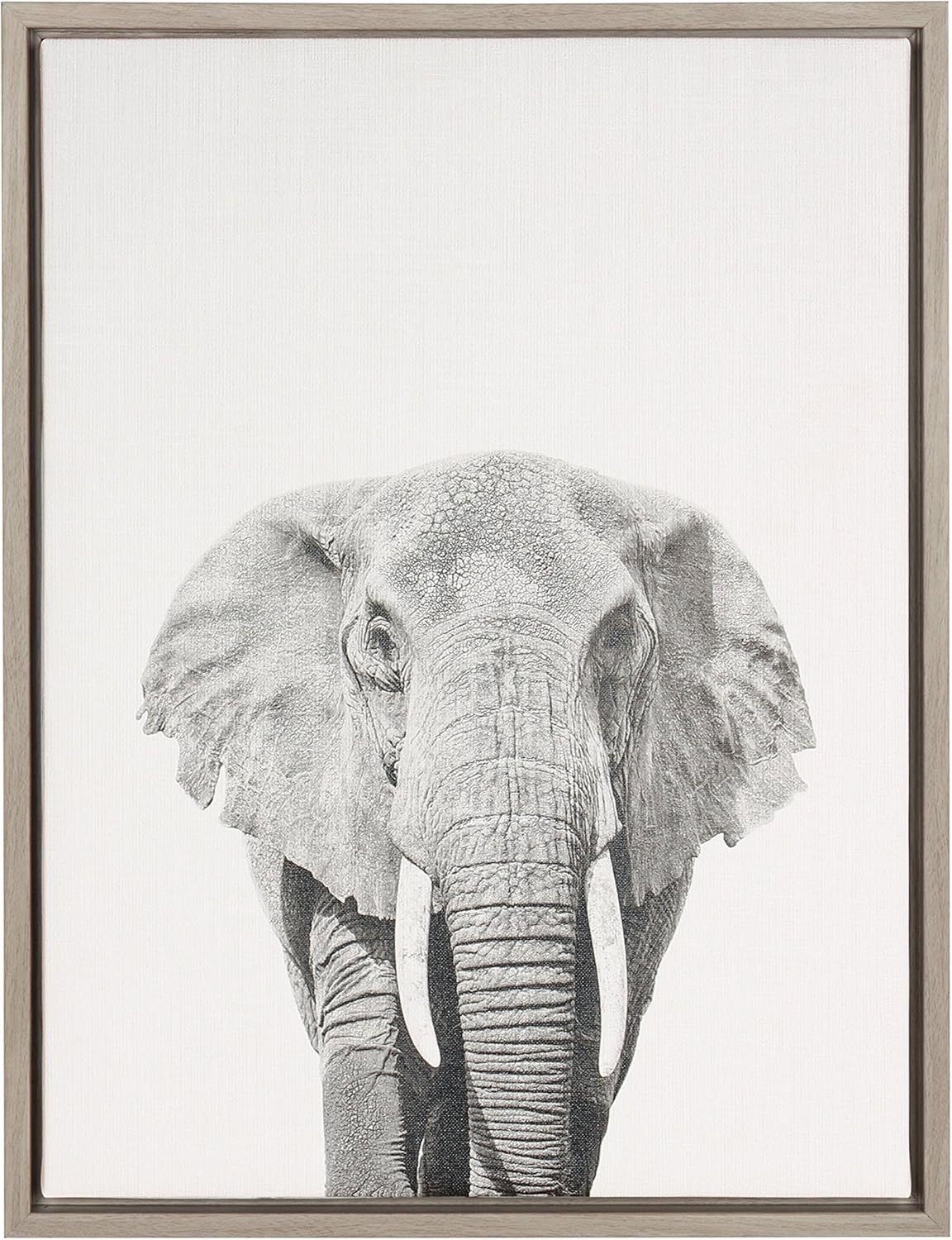 Kate and Laurel Sylvie Elephant Framed Canvas by Simon Te Tai, 23x33, Natural Pack of 2