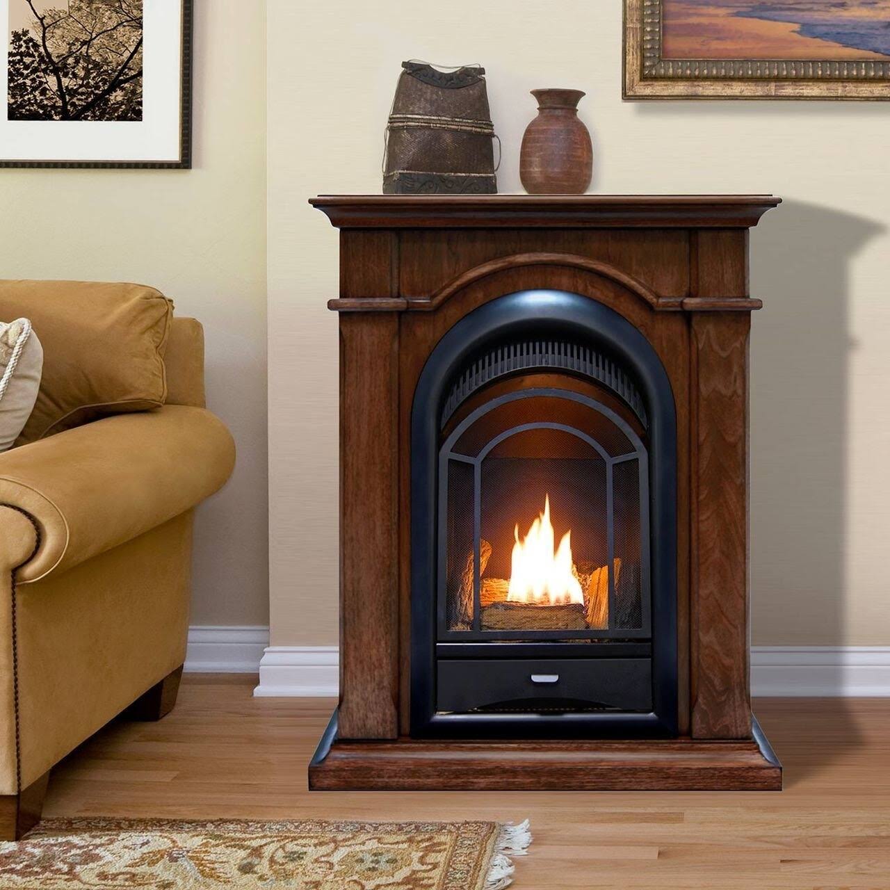 Procom Fs100T-W Dual Fuel Ventless Gas Fireplace System - 10,000 BTU,