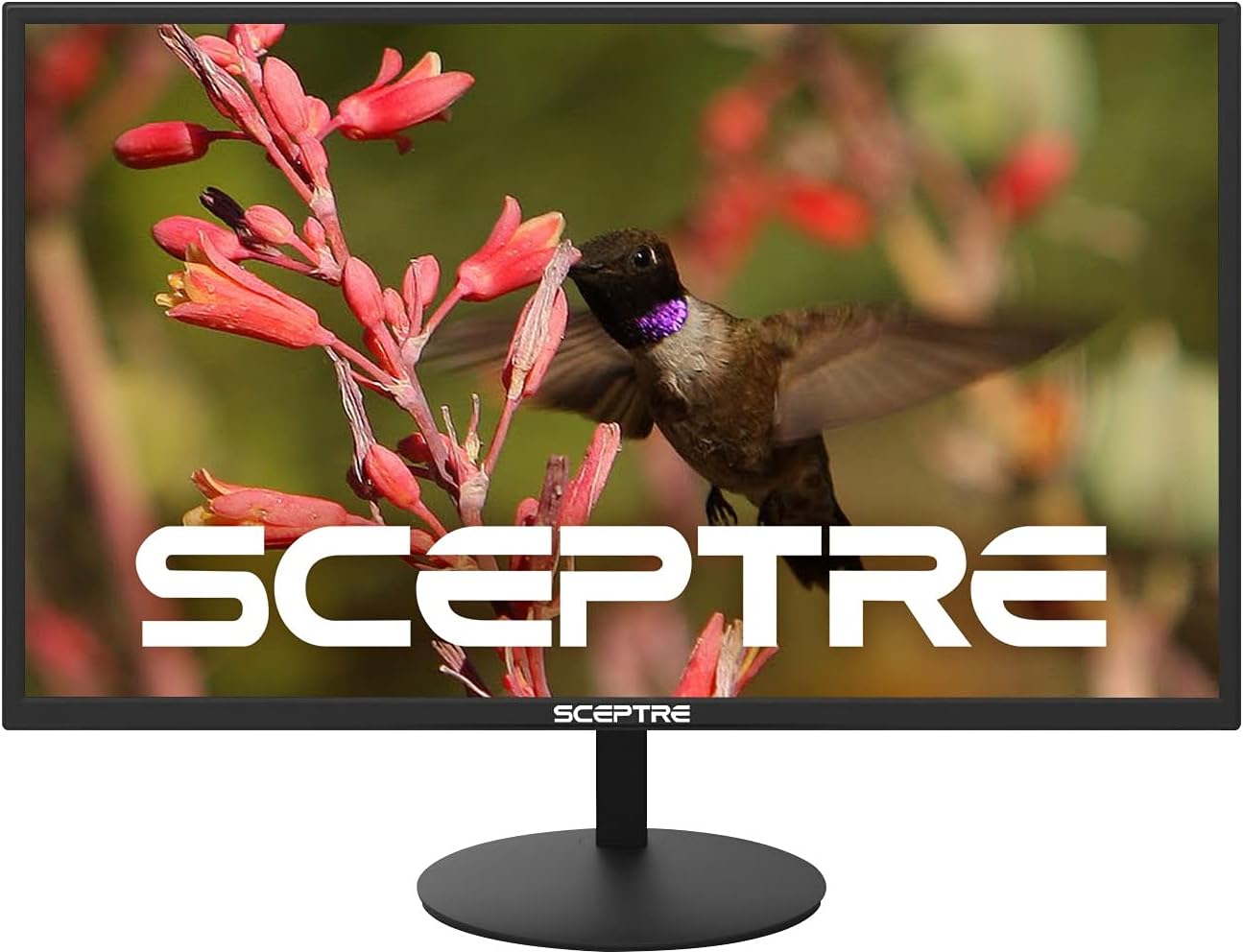 Sceptre E275W-19203R 27