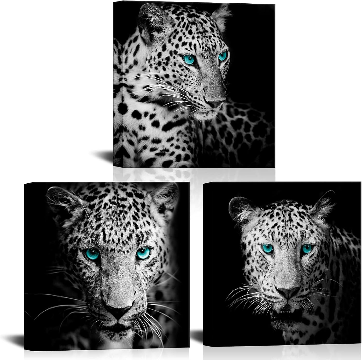 ArtKissMore Leopard Canvas Wall Art 3 Piece Black White Teal Eyes Animal Picture Prints on Canvas for Modern Home Office Bathroom Kid Boy Room Decor Stretched Framed12x12inchx3 Panel