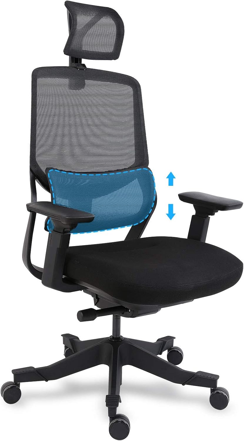 FlexiSpot Ergonomic Office Chair Mesh Chair 3D Lumbar Support, Desk Chair Headrest 4D Armrest Height Adjustable Seat Executive Swivel Chair (Black)