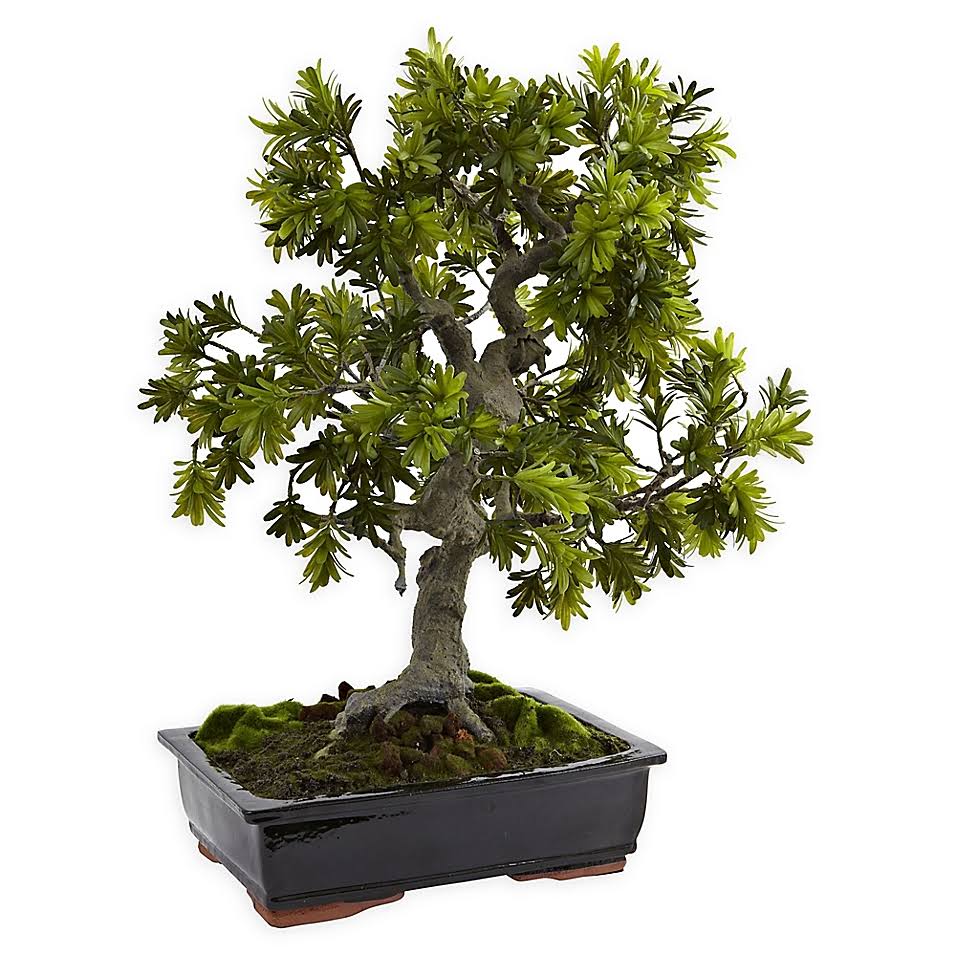 Nearly Natural 30x22 Artificial Giant Podocarpus Mossed Bonsai Tree with Black Ceramic Pot Multi