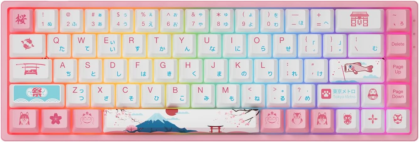 Akko World Tour Tokyo 3061S 60% Pink Wired Mechanical Gaming Keyboard, RGB Backlit, Hot-swappable with OSA Profile PBT Keycaps and NKRO (Jelly Pink Switches)