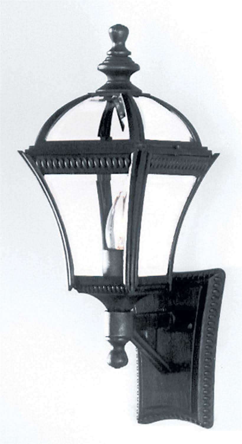 Trans Globe Lighting Contemporary Black Copper Outdoor Wall Light 5080 BC