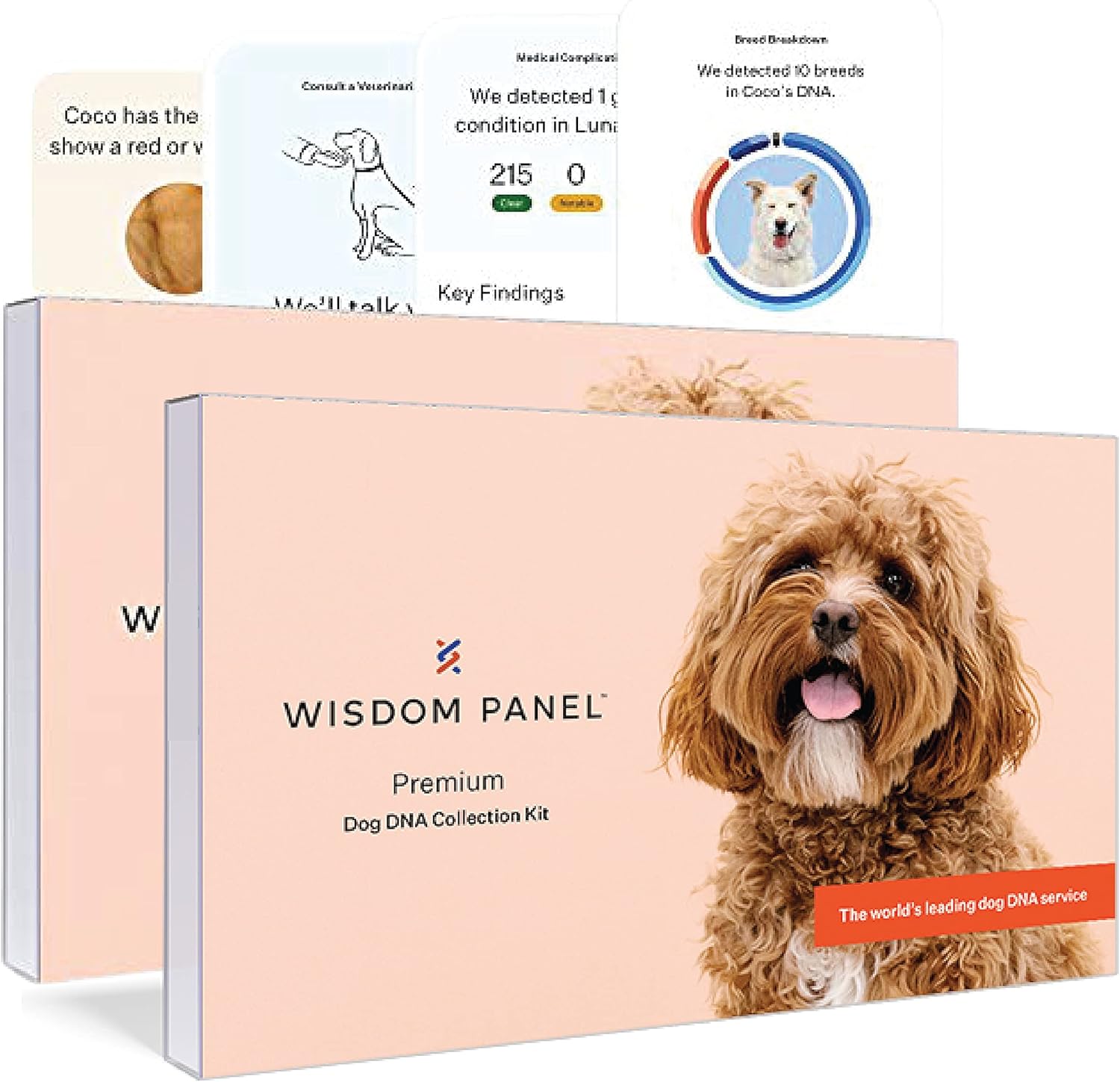 Wisdom Panel Premium: Advanced DNA Test for Comprehensive Health, Traits, Breed and Ancestry - 2 Pack