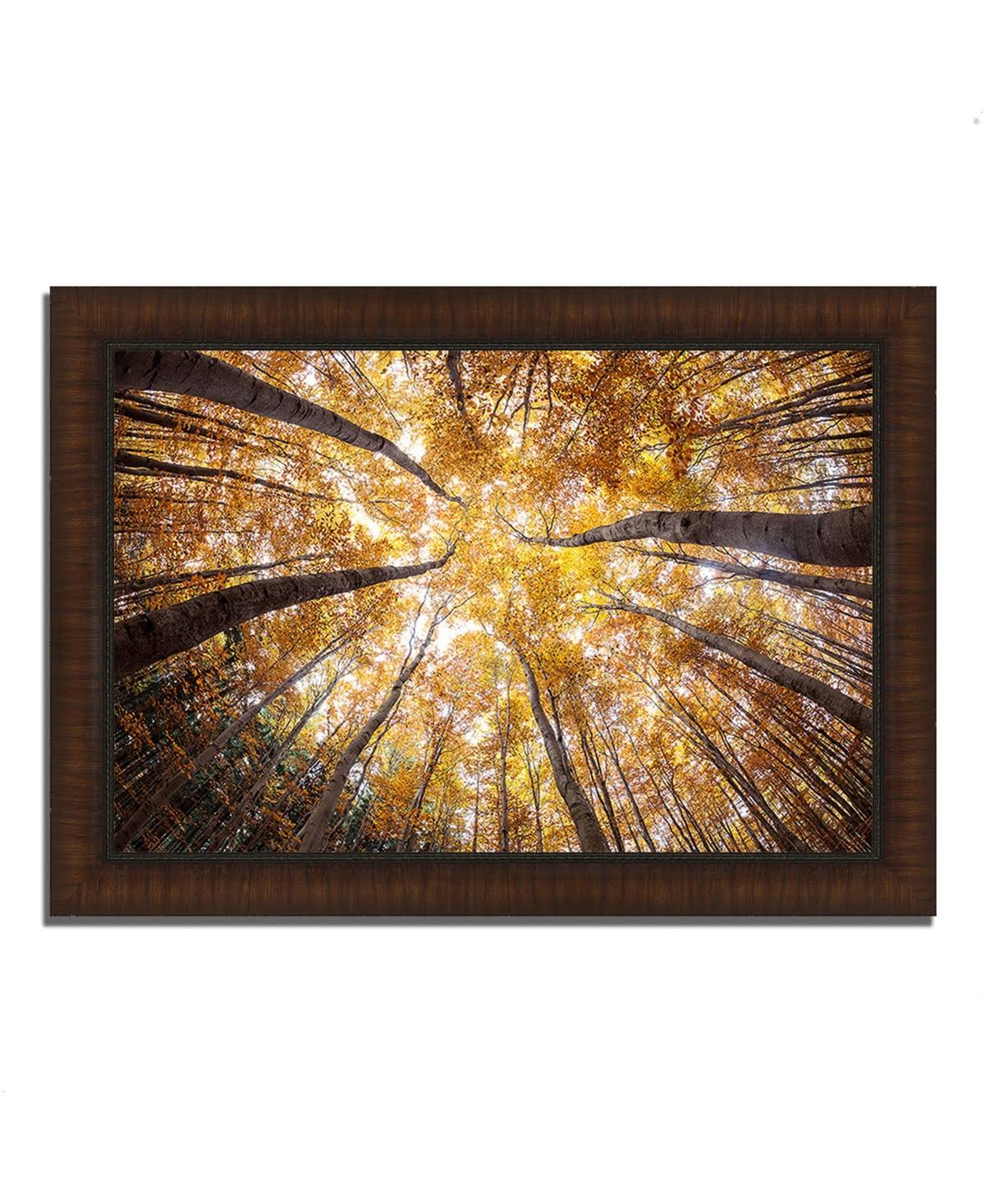 Tangletown Fine Art 36x22 x 51x22 Reach for The Sky Framed Photograph Print