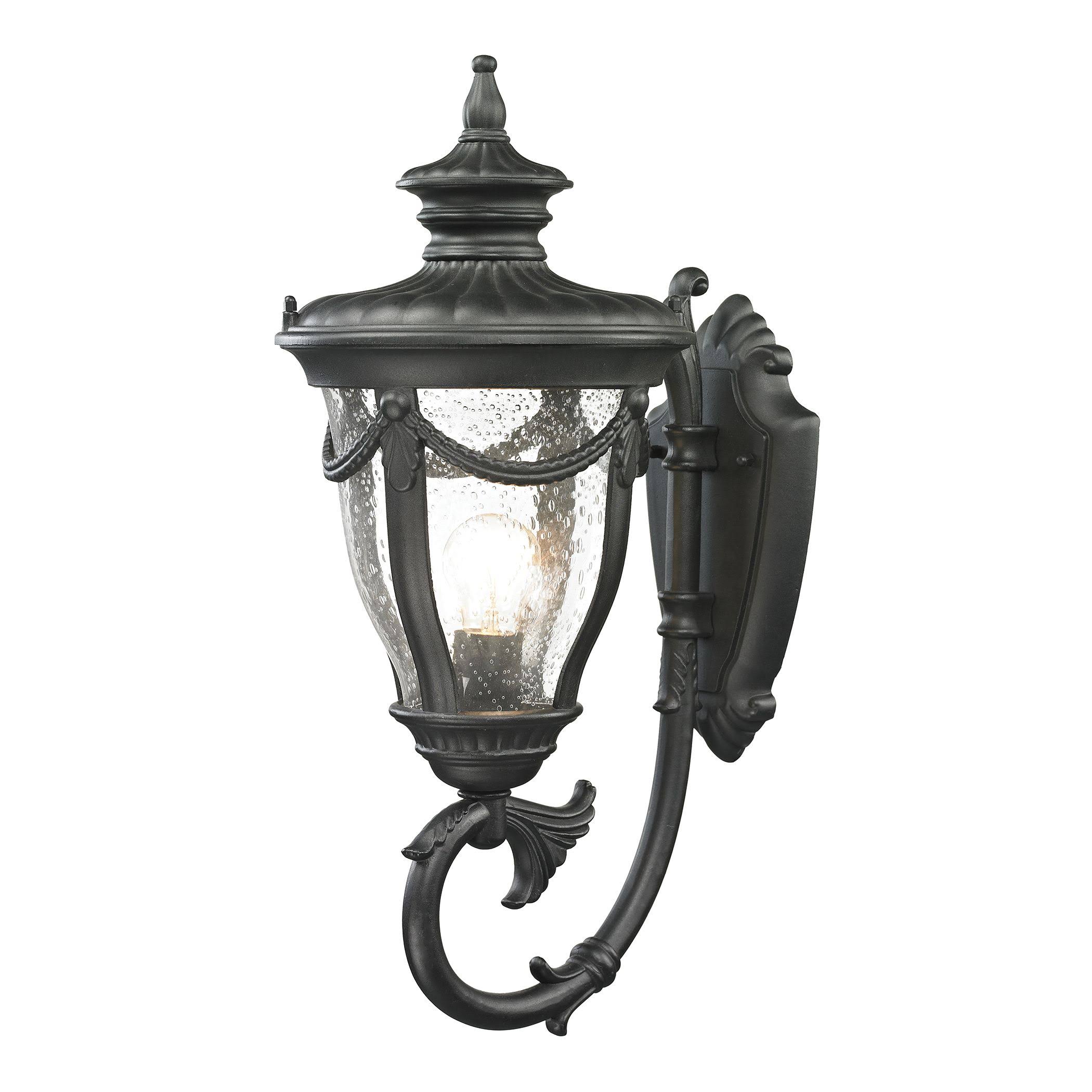 Elk Lighting 45076/1 Anise 1 Light Outdoor Sconce in Textured Matte Black