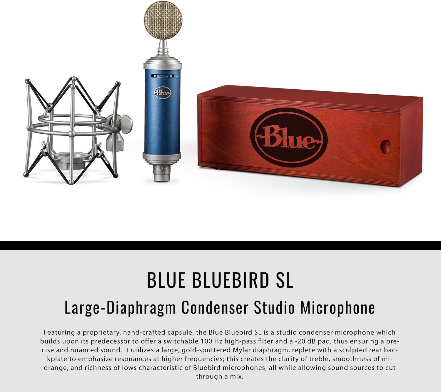 Blue Microphones Bluebird SL Large-Diaphragm Condenser Microphone with Closed-Back Headphones, XLR Cable, and Deluxe Bundle