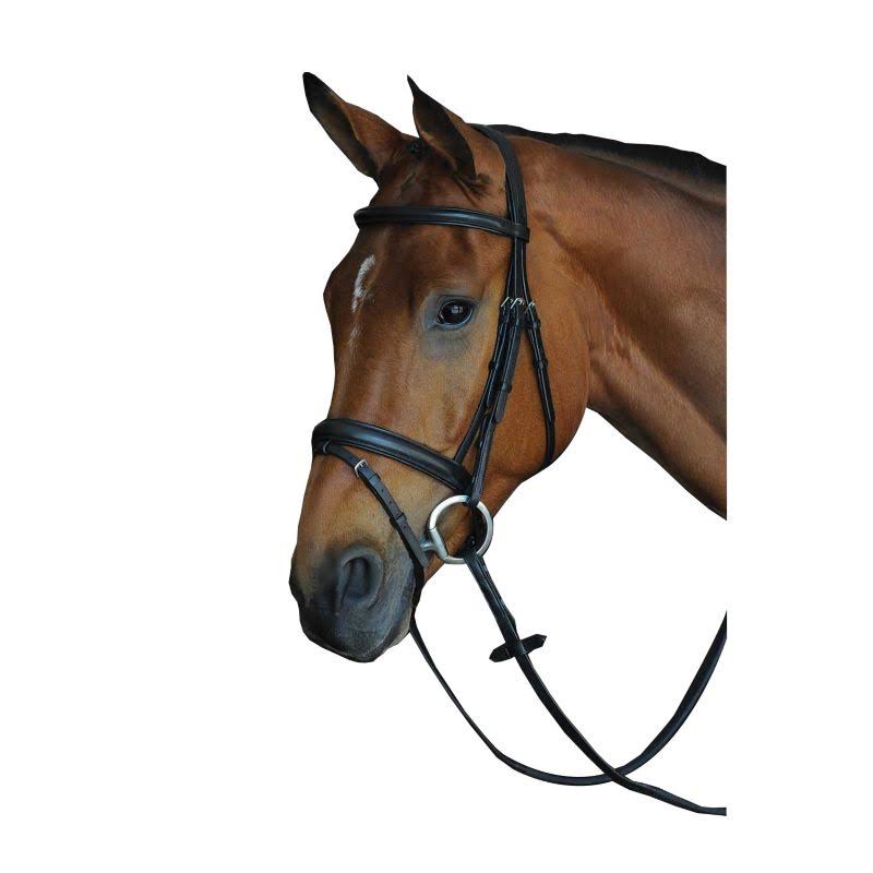 Collegiate Comfort Crown Padded Raised Flash Bridle - Black - COB