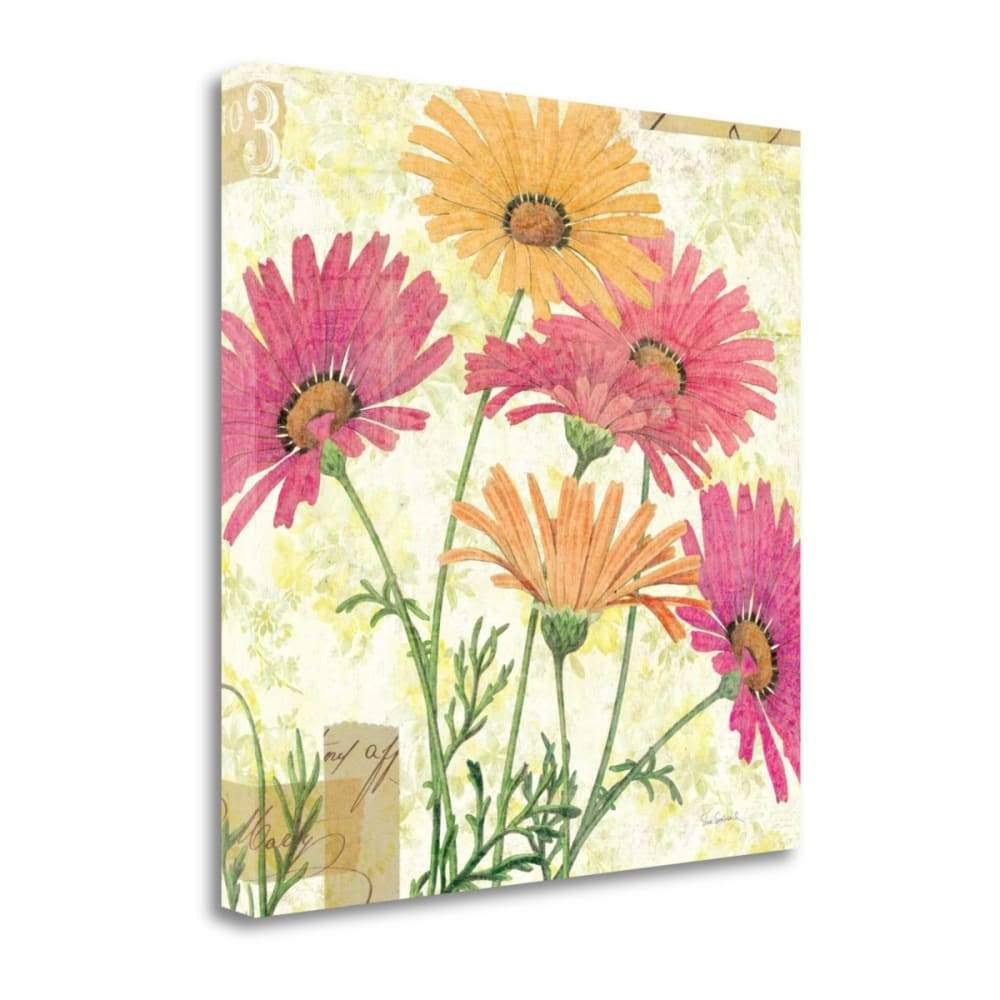 24x22 x 24x22 Reminiscence I by Sue Schlabach Fine Art Giclee Print