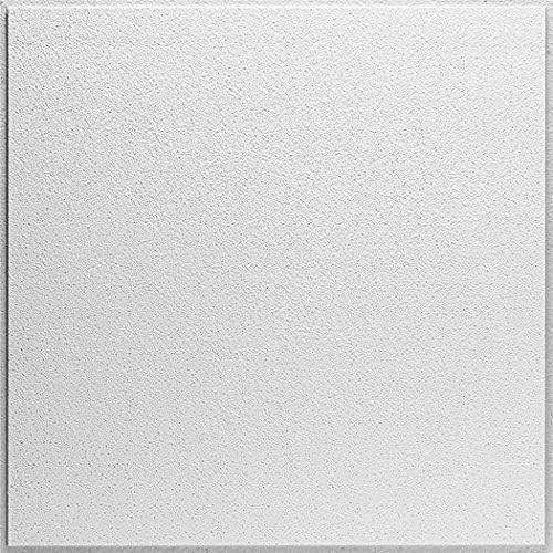 Noise Grabber Acoustic Ceiling Tiles - 2' x 2' Tegular Edge, Popcorn Mineral Fiber Drop Ceiling Tile (10 Pack)