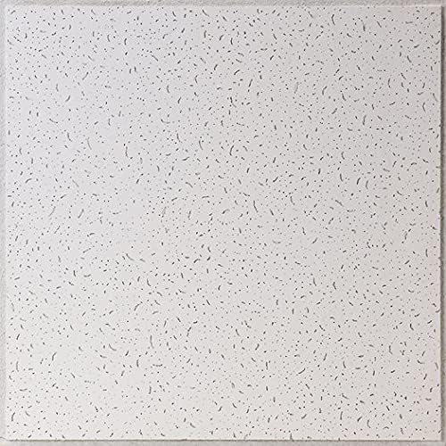 Noise Grabber Acoustic Ceiling Tiles - 2' x 2' Tegular Edge, Fissure Mineral Fiber Drop Ceiling Tile (10 Pack)