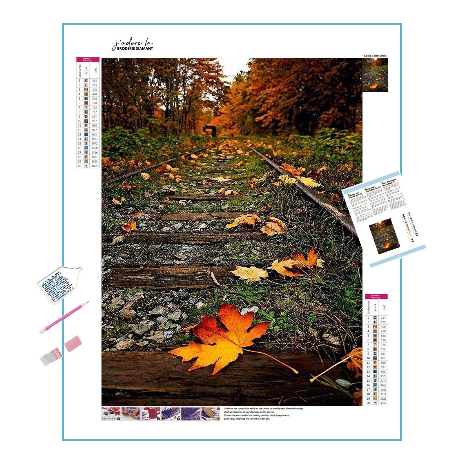 Train Line Across Old Forest