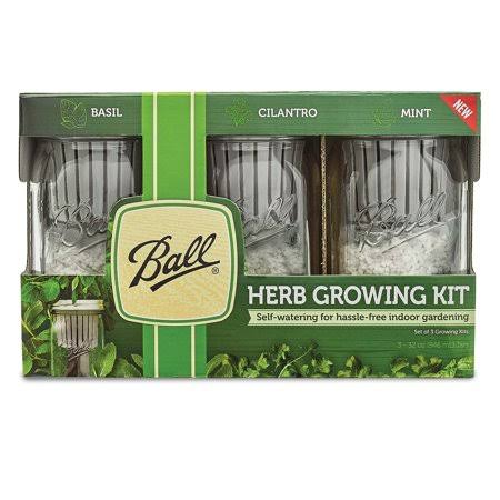 Ball Herb Growing Kit 3-Pack Clear