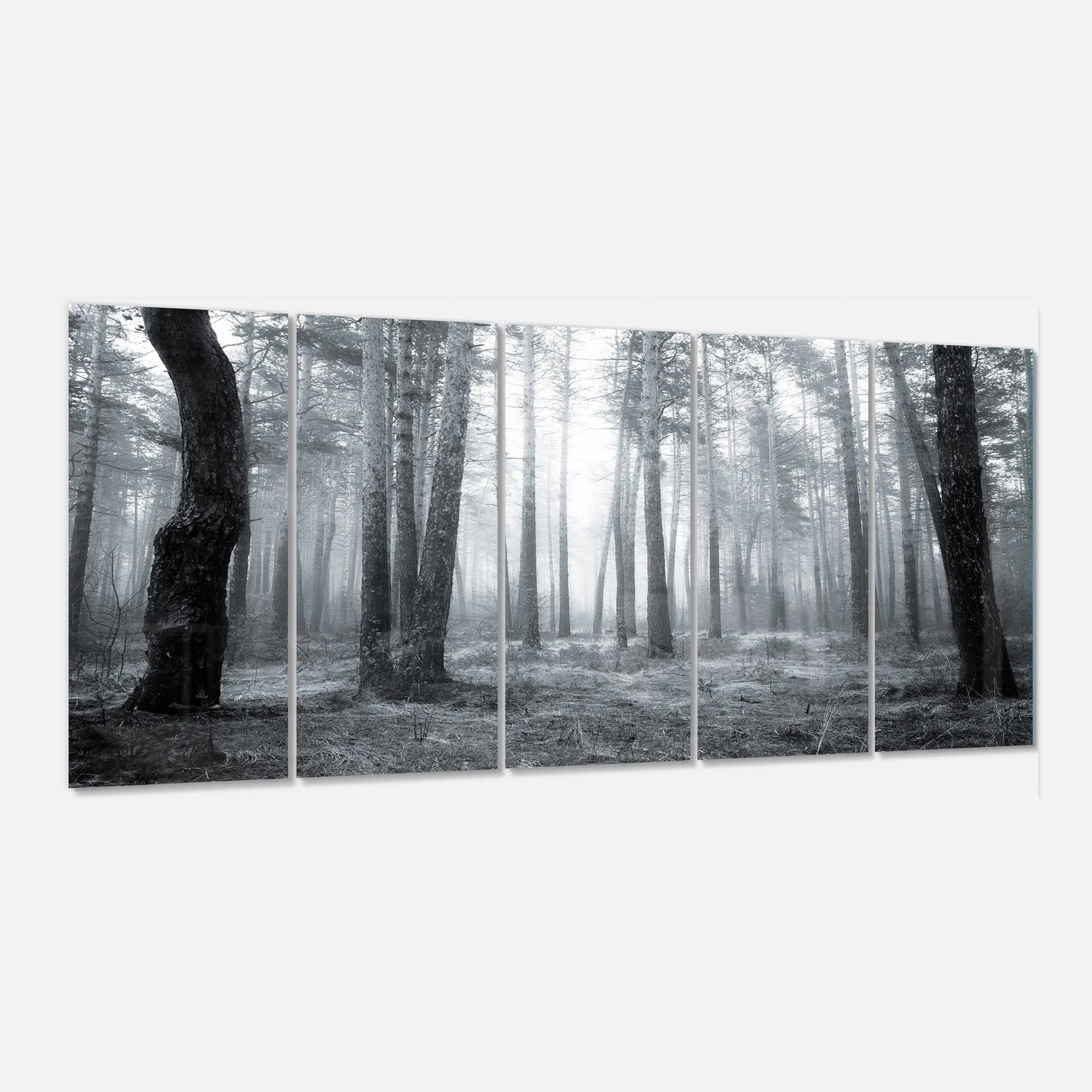 Design Art &Black and White Foggy Forest& 5 Piece Photographic Print on Metal Set
