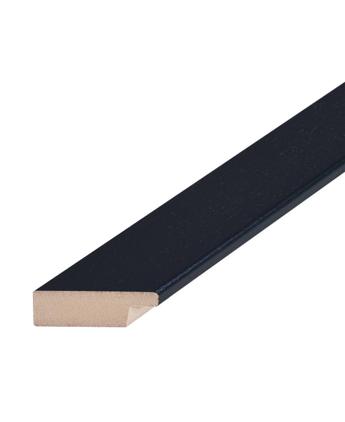 Trademark Art Alan Blaustein 'Lake Vista VI' Black Matted Framed Art