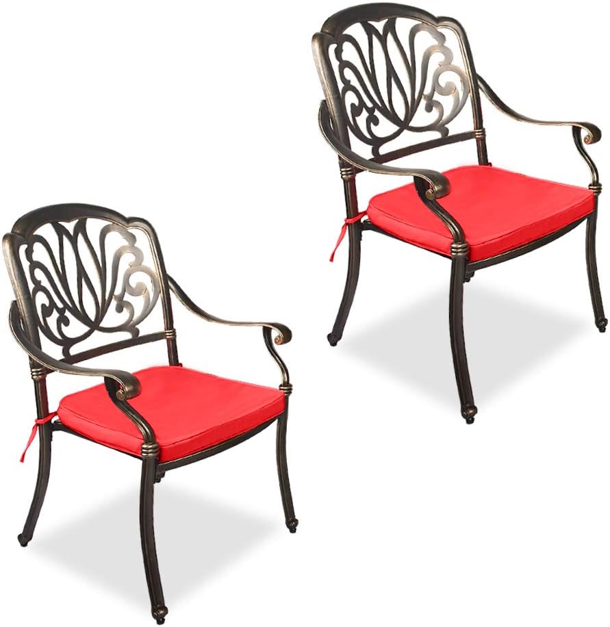 OKIDA 2 Piece Outdoor Dining Chairs, Cast Aluminum Chairs with Armrest, Patio Bistro Chair Set of 2 for Garden, Backyard (Lattice Design 2 Chairs)