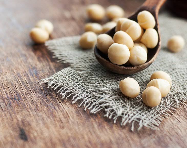 Whole Macadamia Nuts, 8 Pounds - by Food to Live