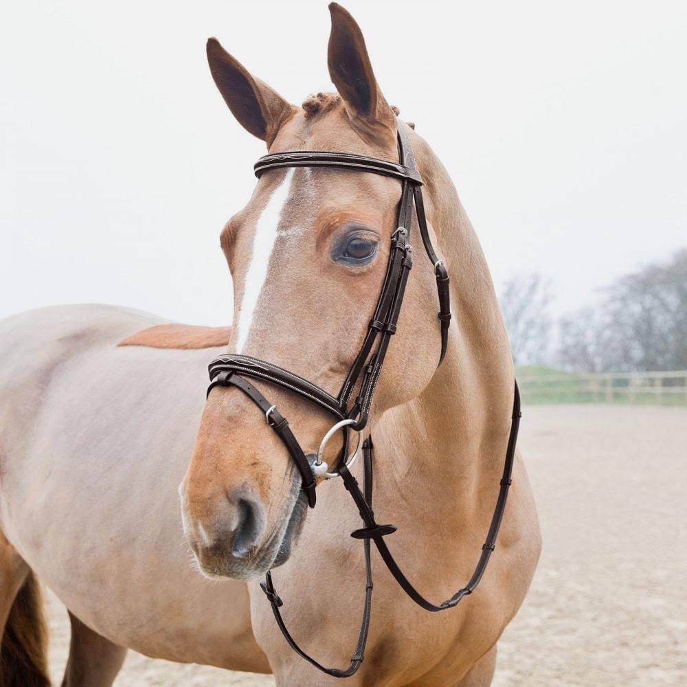 Horze Weston Bridle - COB / Black